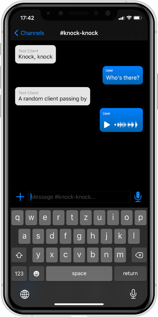 Chat Interface